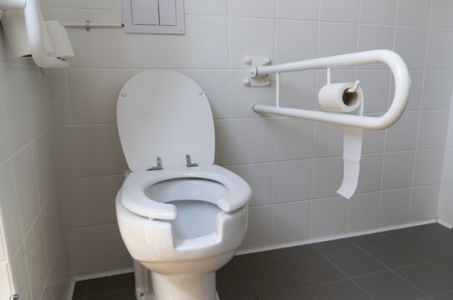 Grab Bars with Toilet Paper Holder