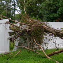 fence repair