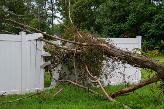 fence repair